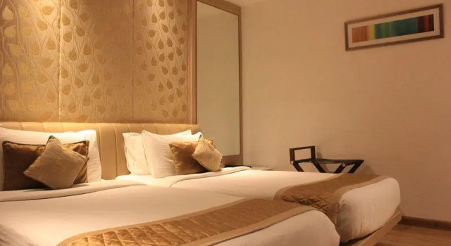 Одноместный номер Superior Hotel Swati