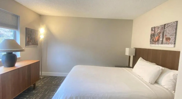 Семейный люкс High Point Resort