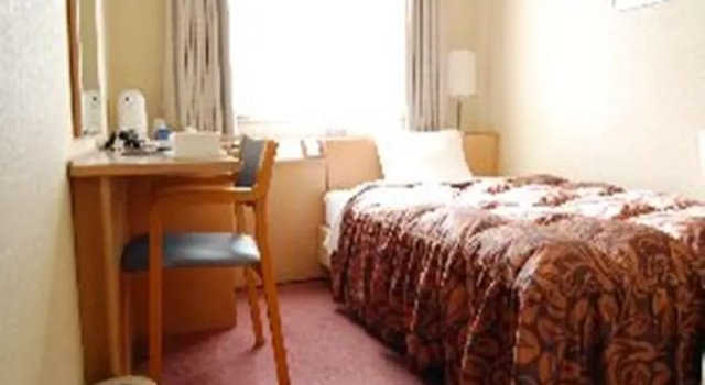 Одноместный номер Standard Hotel Castle Plaza