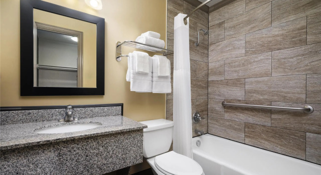 Standard Doppel Zimmer mit Blick auf den Innenhof Aiden Austin City Hotel