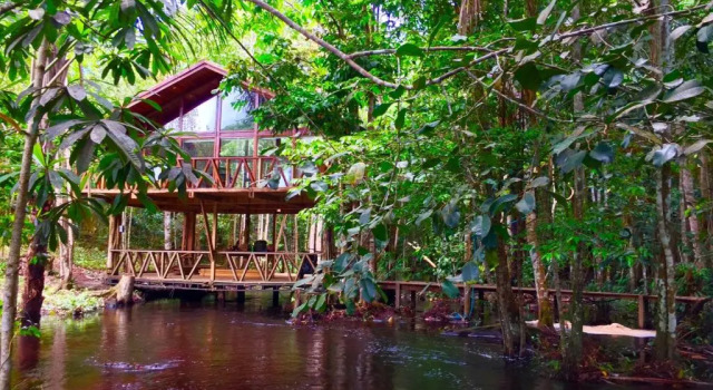 Номер Deluxe Cirandeira Amazon World EcoResort