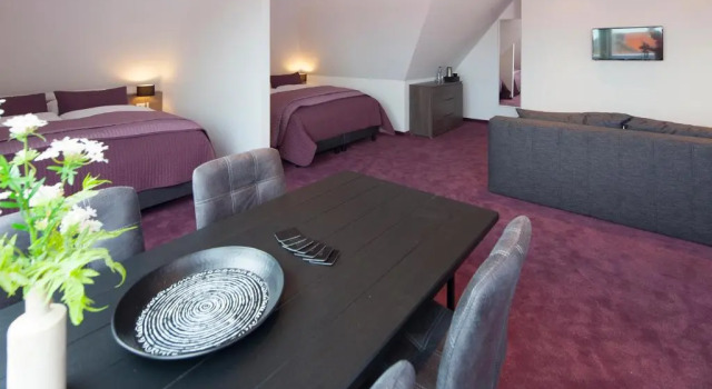 Номер Standard Hotel Bru
