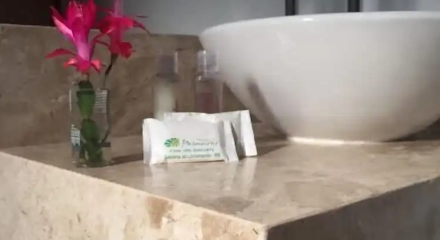 Семейный номер Standard Hotel Palmeiras