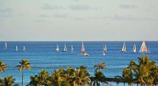 Waikiki Banyan #3205-T2, Rezerwuj Hotel Waikiki Honolulu