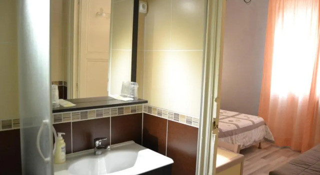 Standart çift kişilik oda Will's Hotel