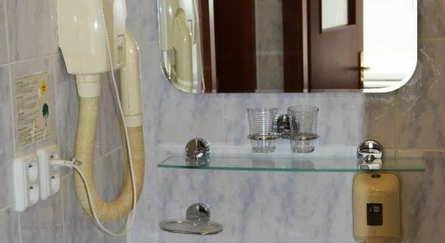 Двухместный номер Hotel Palacky