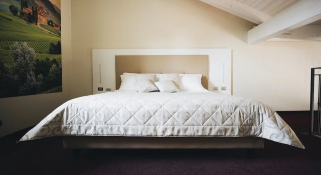 Люкс Cascina Speranza Hotel