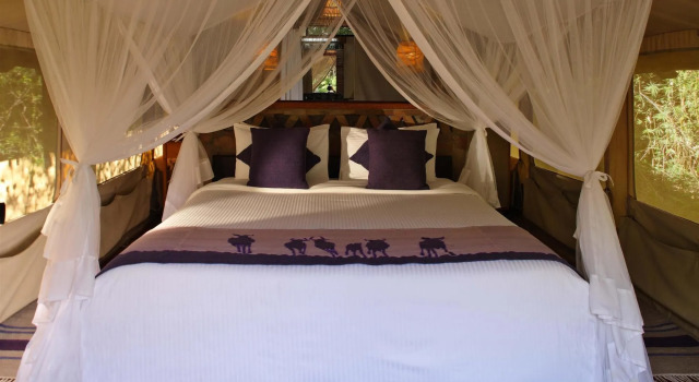 Sarova Mara Game Camp, Buchen Sie Ferienhaus SPA-Hotels in Masai Mara, SPA