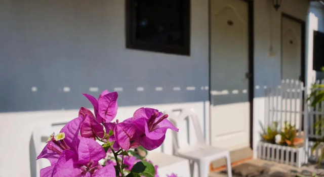 Двухместный номер Superior с видом на сад P.California Inter Hostel
