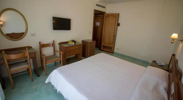 Номер Standard Hotel Terme Alexander
