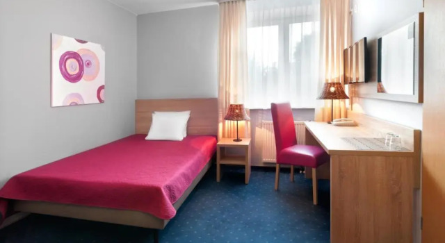 Одноместный номер Hotel Petrus
