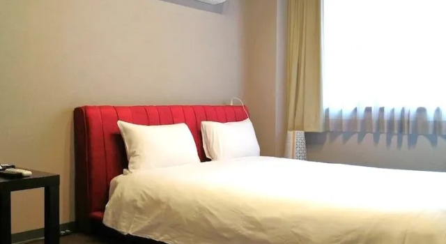 Номер Comfort Rozy Hotel Namba