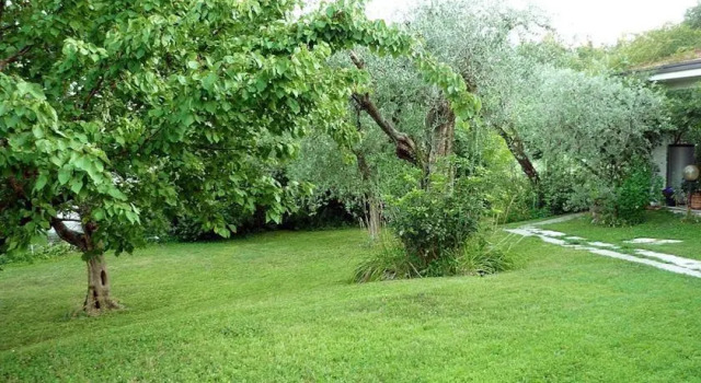 Il Paradiso del Garda