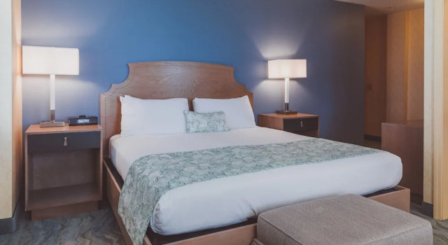 Люкс с видом на парк The Parkview Hotel