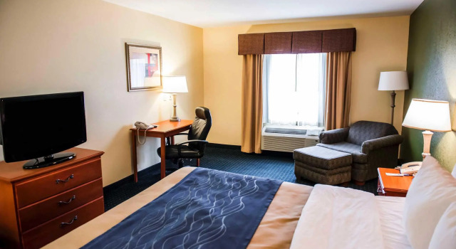 Номер Standard Comfort Inn & Suites Chipley I-10