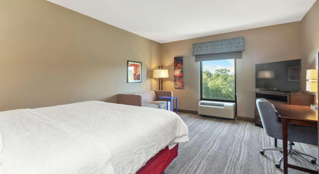 Двухместный номер Standard Hampton Inn & Suites Orlando-Apopka