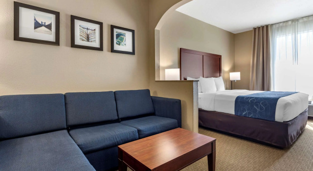 Двухместный люкс Comfort Suites Waco Near University Area