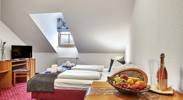 Двухместный номер Comfort Landhotel Donaublick