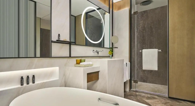 Двухместный номер Standard с видом на сад Hyatt Regency Shanghai Pudong Lingang