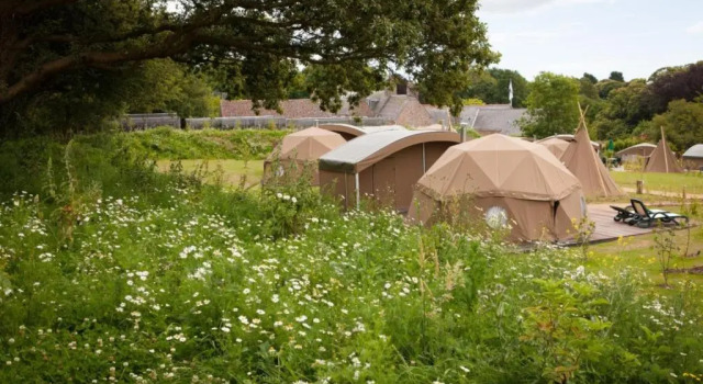 Tenda Durrell Wildlife Camp