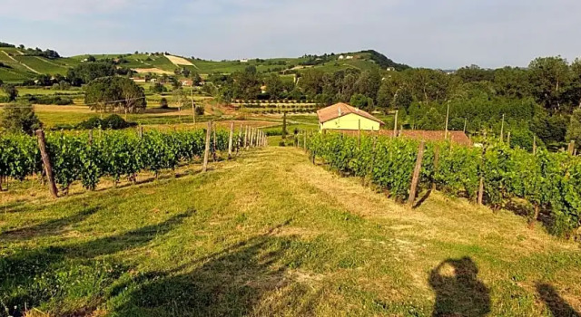 Villa Vigneto, Забронировать Вилла Отели Пьемонта 4 звезды, 4*