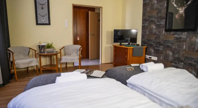Двухместный номер Standard 4 Évszak Hegyihotel