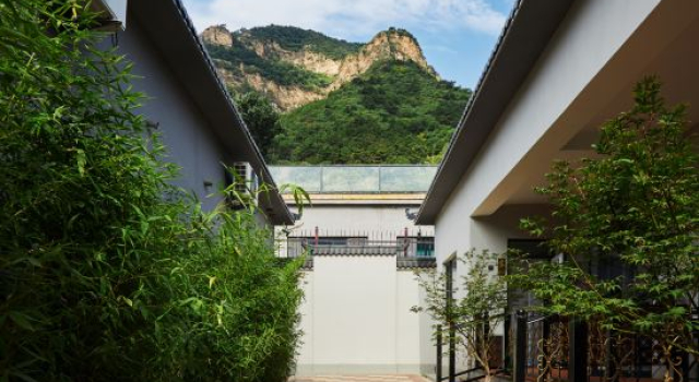 Rainbow Garden