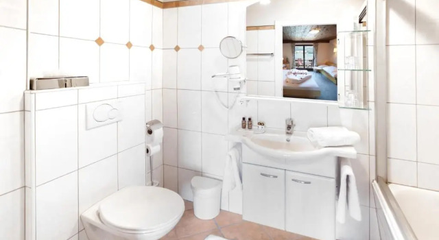 Номер Standard Hotel Seewinkel