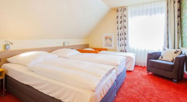 Номер Standard Hirsch Hotel
