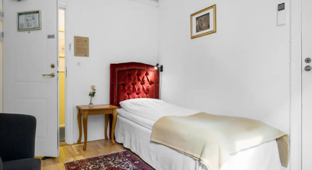 Одноместный номер Economy Hotel Concordia