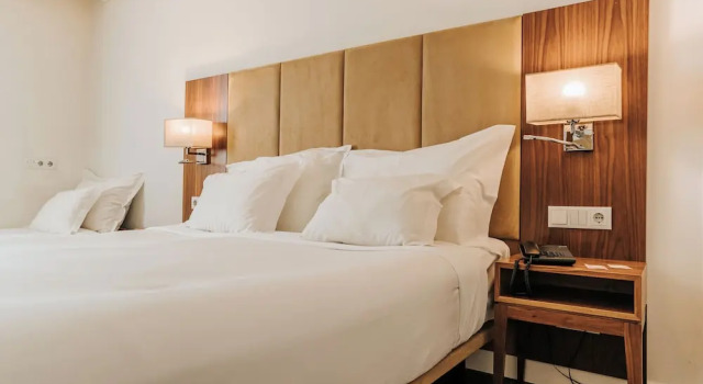 Двухместный номер Executive Hotel Porto Downtown