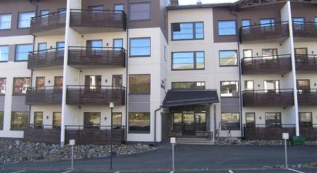 Nordic chalet 9211, Buchen Sie Chalet Hotels in Lappland mit Parkplatz, Parkplätze