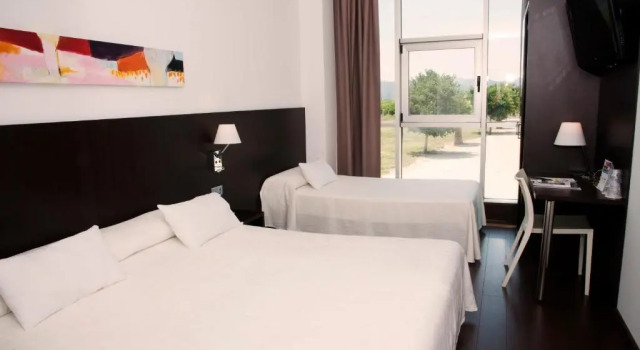 Трёхместный номер Standard Hotel Sercotel Plana Parc