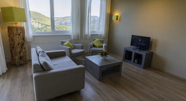 Luxury apartment with a sauna, located in nature