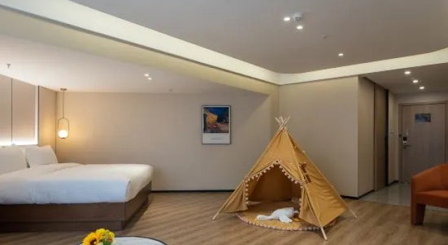 Люкс Business Padun International All Suite Apartment