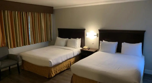 Номер Deluxe Stargazer Hotel
