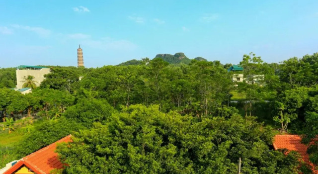 Номер Standard Tam Family Homestay