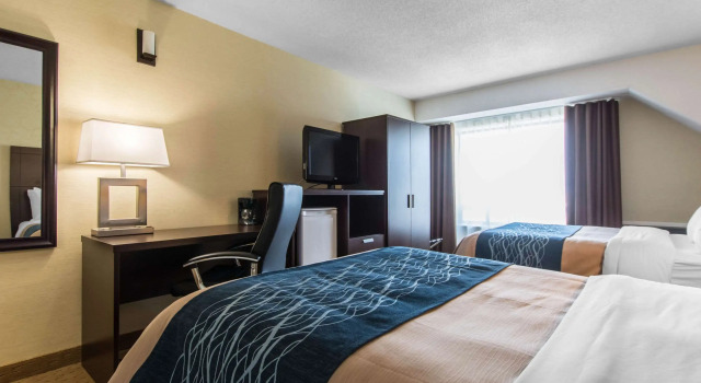 Четырёхместный номер Standard Comfort Inn