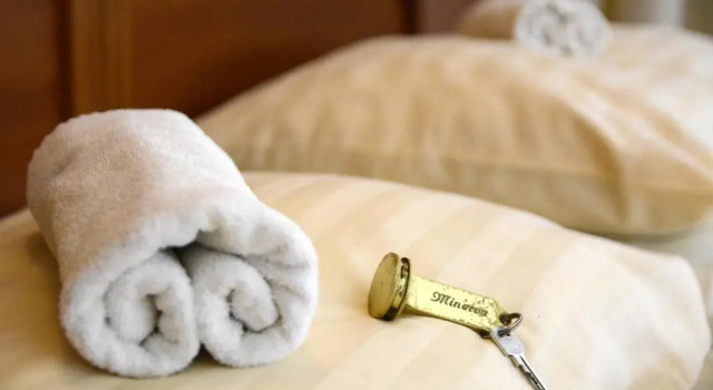 Двухместный номер Standard с балконом Hotel Minerva