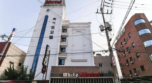 Pohang Daedodong White