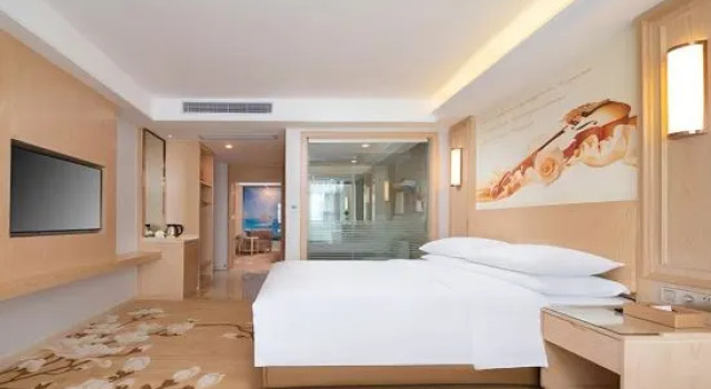 Люкс Deluxe Vienna International Hotel Chongqing Yuanyangyuanboyuan
