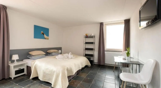 Двухместный номер Standard Apart Hotel Het Veerse Meer