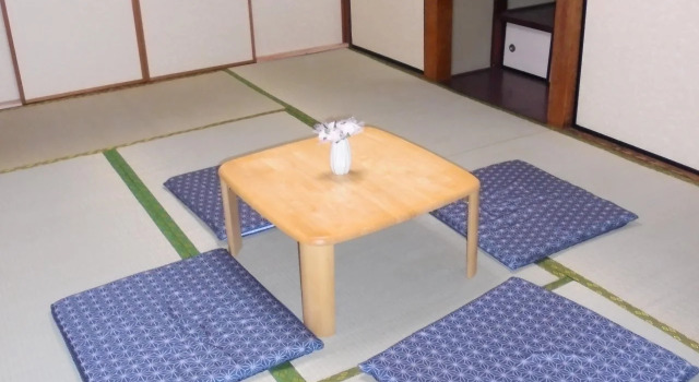 Guest House Cat