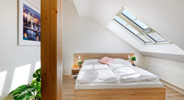 Номер Standard Пентхаус c 1 комнатой с красивым видом из окна DownTown Suites Jugoslavska