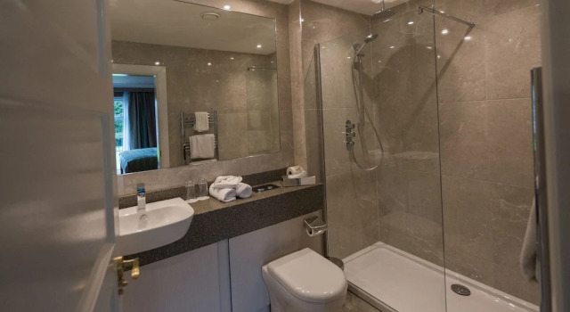 Номер Executive Dunadry Hotel And Gardens