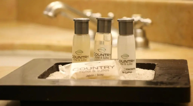 Двухместный номер Standard Country Hotel & Suites