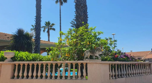 Апартаменты Villa les palmiers -Stretta di i mandarini