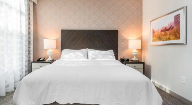 Одноместный люкс Embassy Suites Louisville Downtown