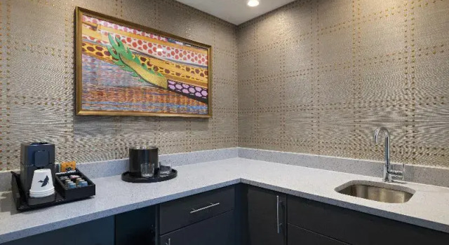 Люкс Hotel Indigo Irving Las Colinas by IHG