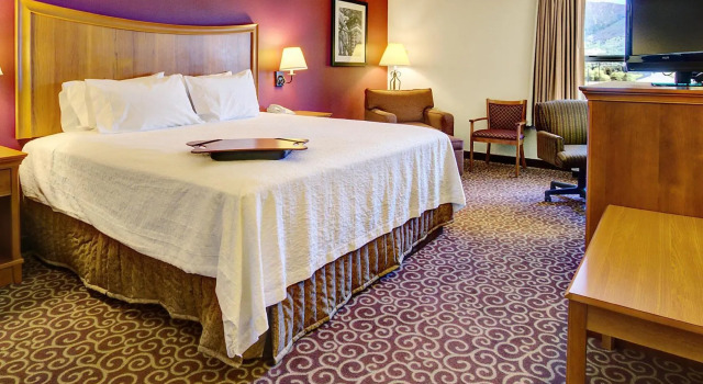 Standard- dobbelt værelse Hampton Inn Butte